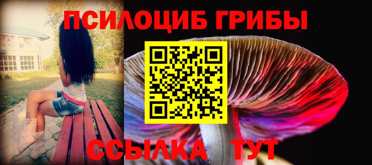 Псилоцибиновые грибы Psilocybe  Вход с VPN  Советская Гавань 